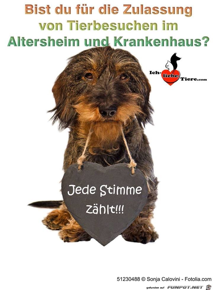 Jede Stimme zaehlt Jede Stimme zaehlt