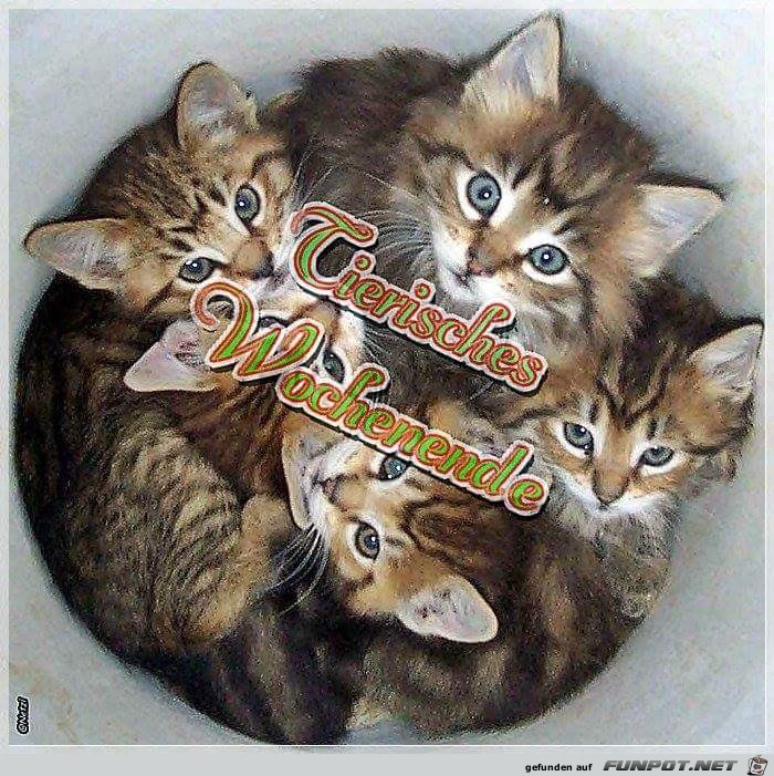 Tierisches Wochenende Tierisches Wochenende