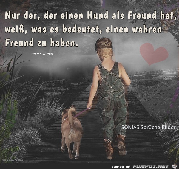 Der einen Hund hat