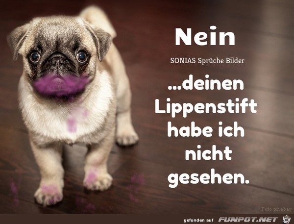 Nein Nein