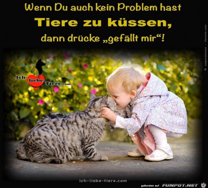 Wenn du auch kein Problem hast Wenn du auch kein Problem hast