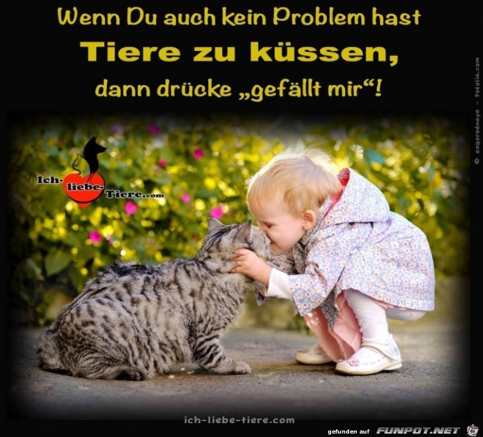 Wenn du auch kein Problem hast