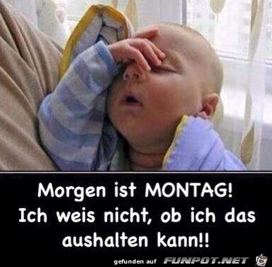 Morgen ist Montag Morgen ist Montag