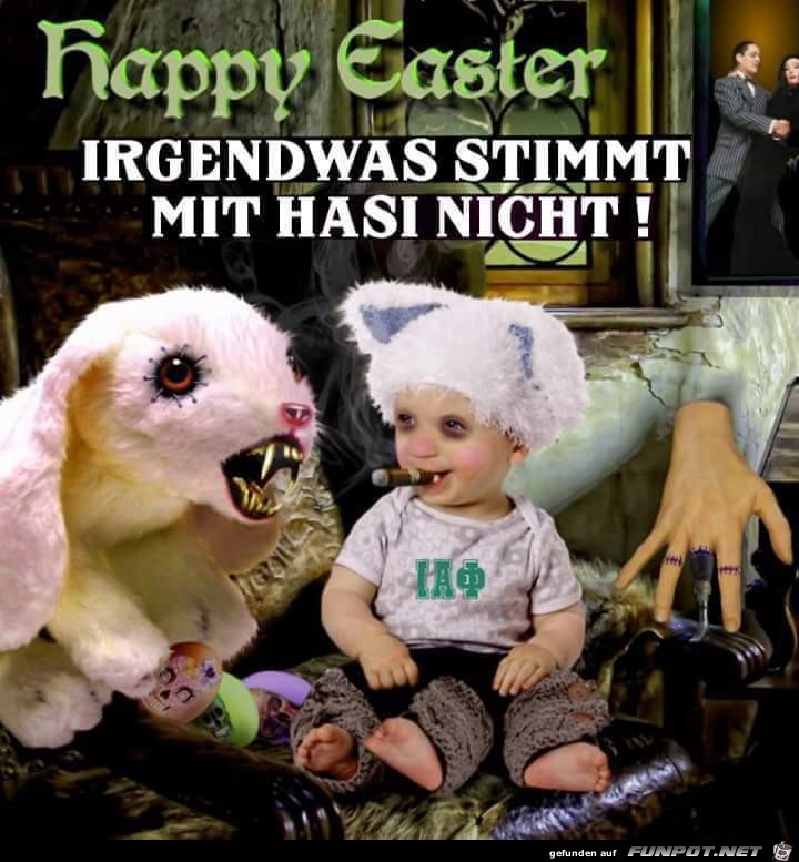 Mit Hasi nicht