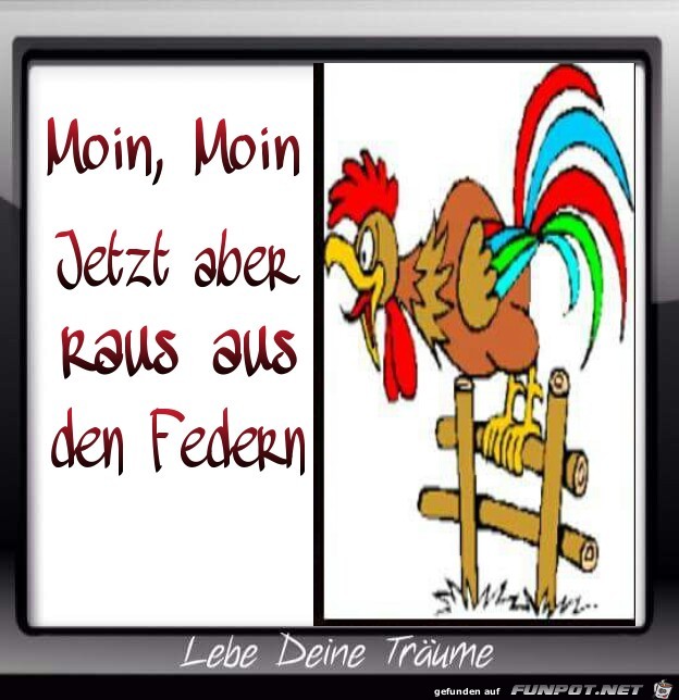 Raus aus den Federn Raus aus den Federn