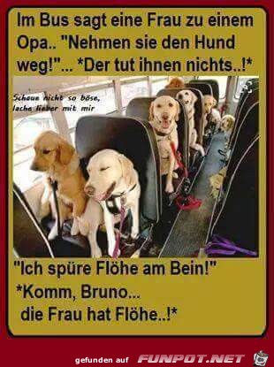 Nehmen sie den Hund weg Nehmen sie den Hund weg