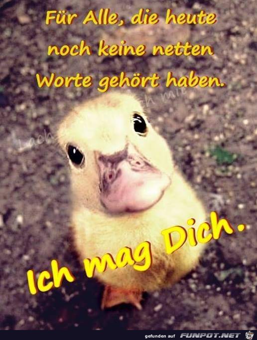 Fuer Alle Fuer Alle
