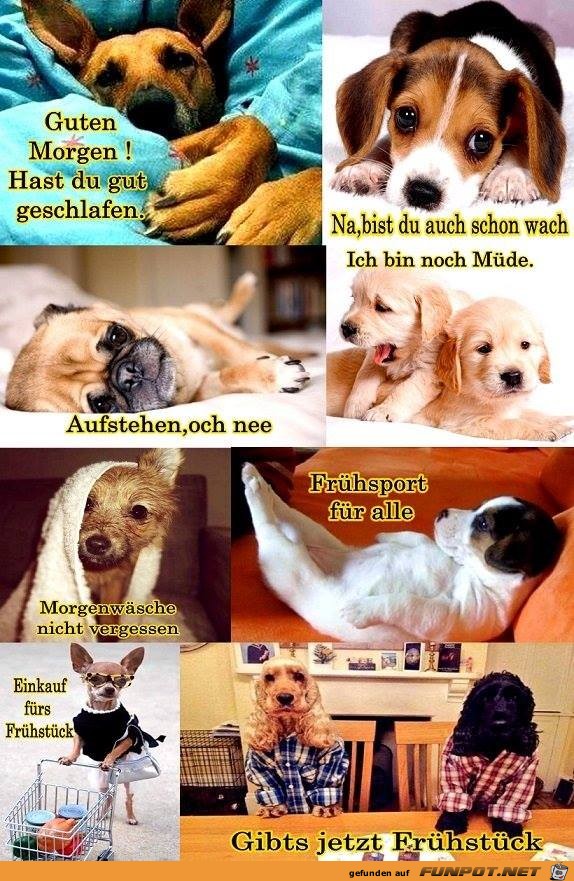 Guten Morgen Guten Morgen