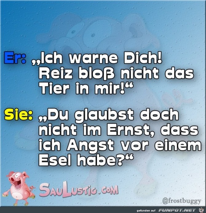 Reizen Reizen