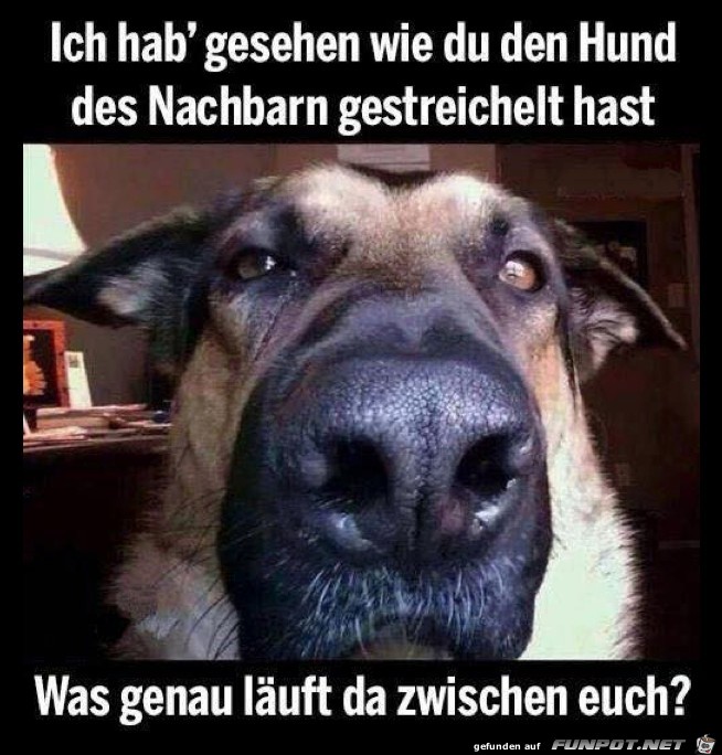 Was laeuft da Was laeuft da