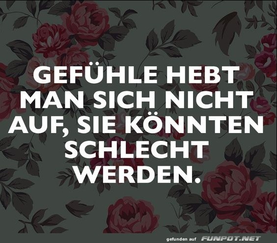 10 schöne Sprüche und Lebensweisheiten aus... 10 schöne Sprüche und Lebensweisheiten aus...