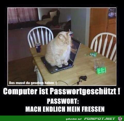 Passwort geschützt Passwort geschützt