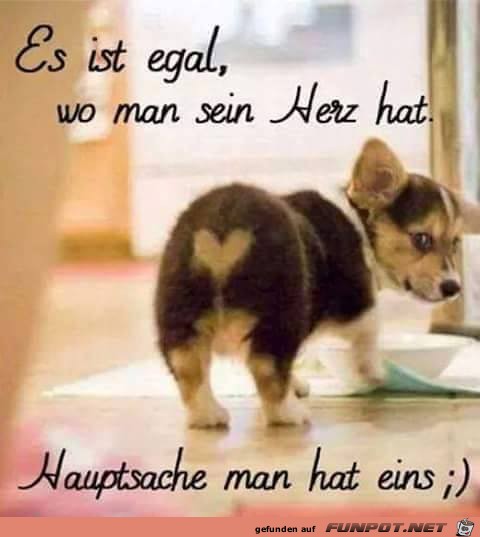 Es ist egal Es ist egal