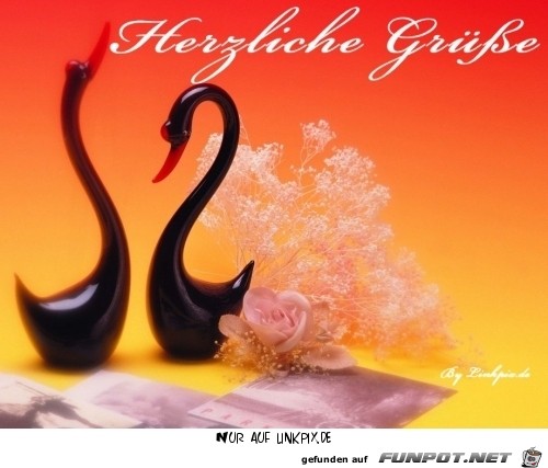 herzliche herzliche