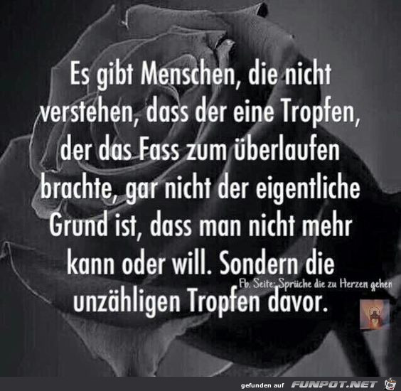 Der eine Tropfen Der eine Tropfen
