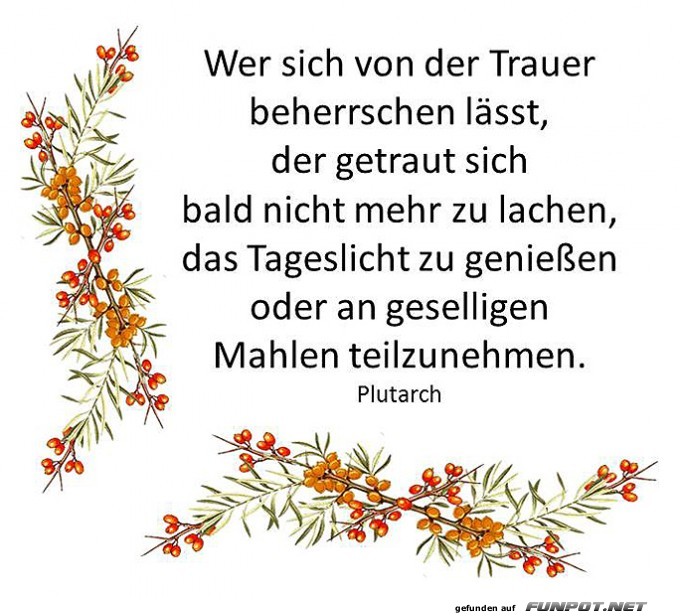 Wer sich von der Trauer Wer sich von der Trauer
