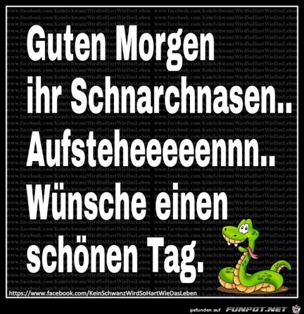 Guten Morgen Guten Morgen