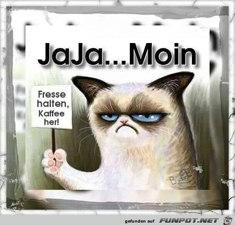 Moin Moin
