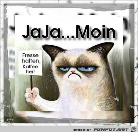 Moin