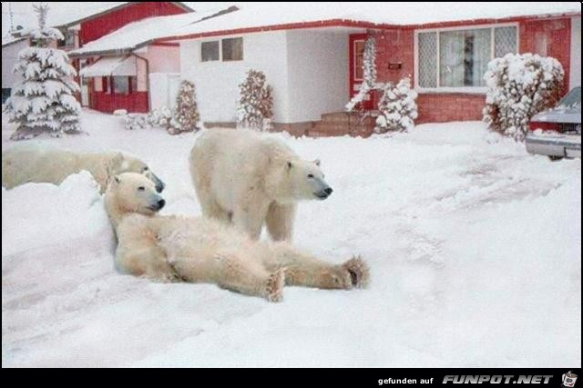 Winter endlich vorbei Winter endlich vorbei