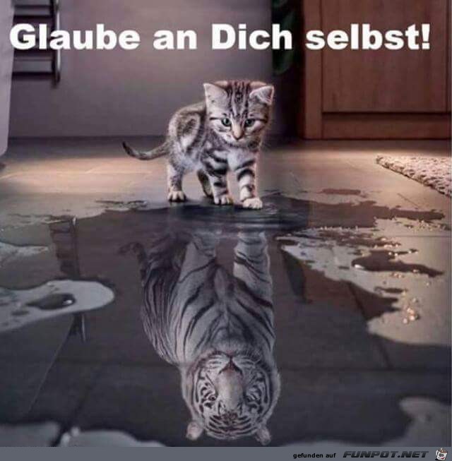 Glaub an Dich