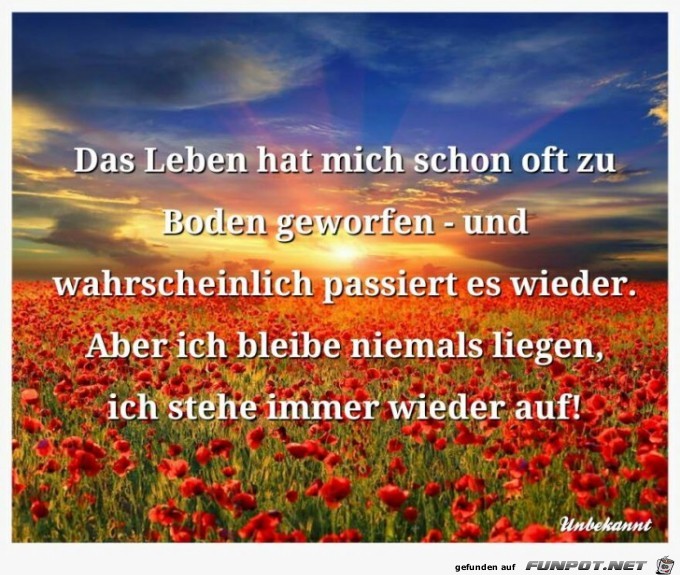 Das Leben