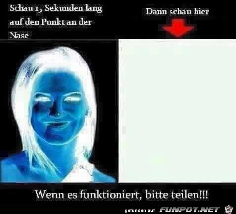 schauen schauen