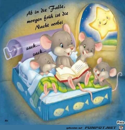 Ab in die Falle Ab in die Falle