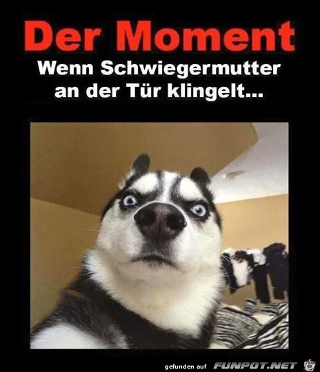 Besuch von Besuch von