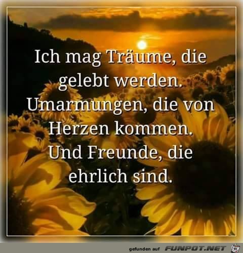 Ich mag Träume Ich mag Träume