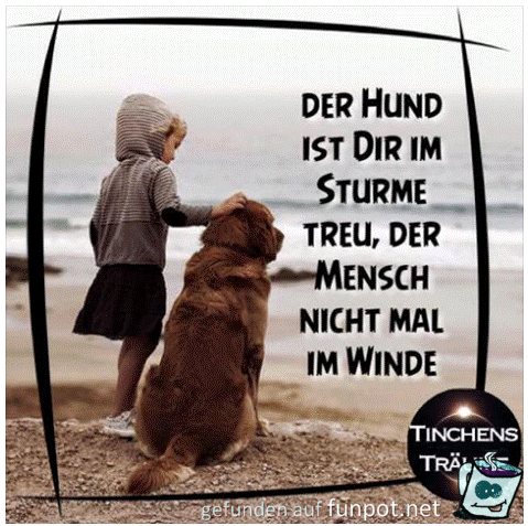 Der Hund ist Dir im Sturme treu