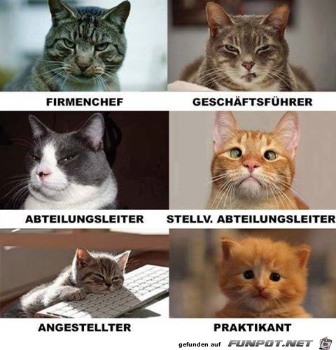 Aehnlichkeit Aehnlichkeit