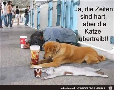 Ja die Zeiten sind hart Ja die Zeiten sind hart