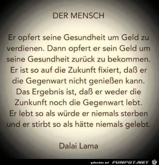 Der Mensch Der Mensch