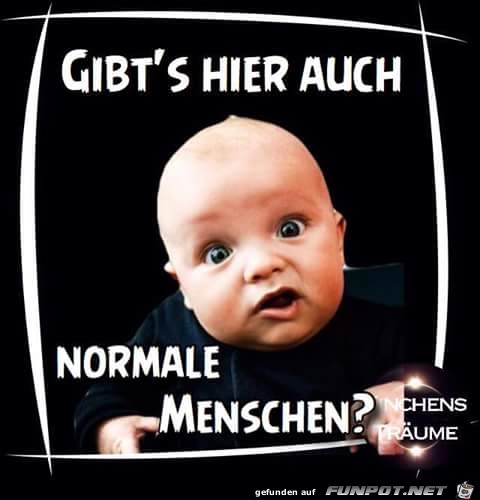 Normale Menschen Normale Menschen