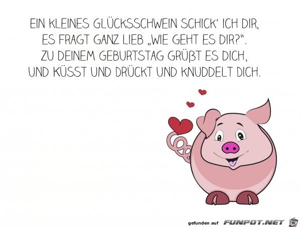gluecksschweinchen gluecksschweinchen