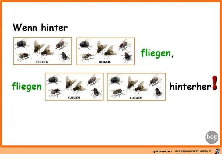 Wenn Fliegen fliegen Wenn Fliegen fliegen