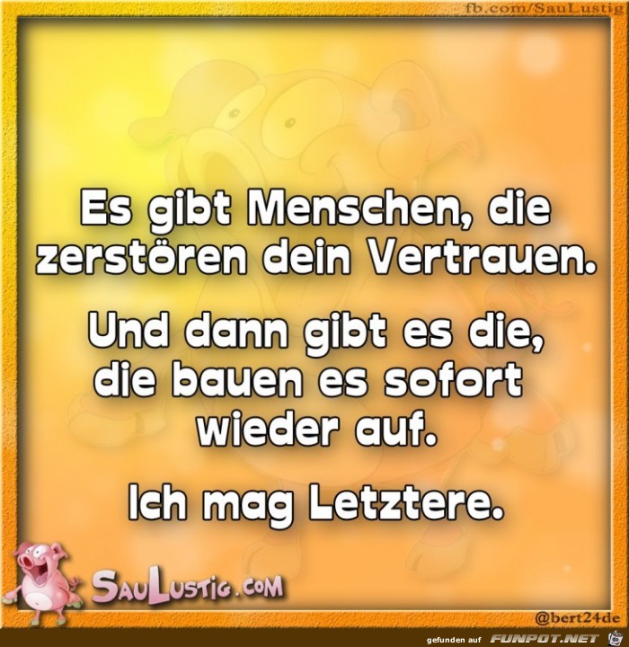 Es-gibt-Menschen-die-zerstoeren-Dein-Vertrauen Es-gibt-Menschen-die-zerstoeren-Dein-Vertrauen