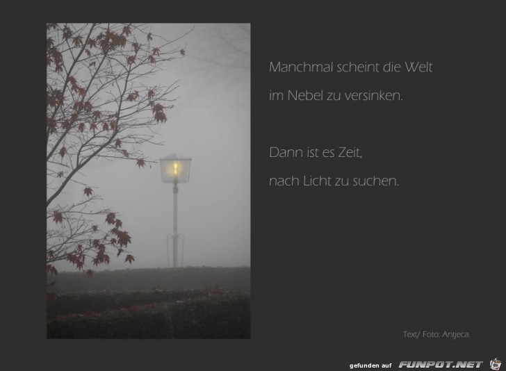 licht licht