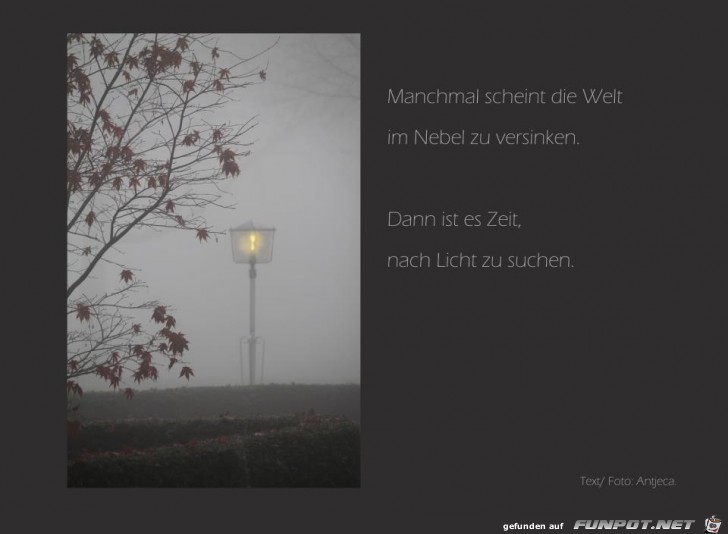 licht