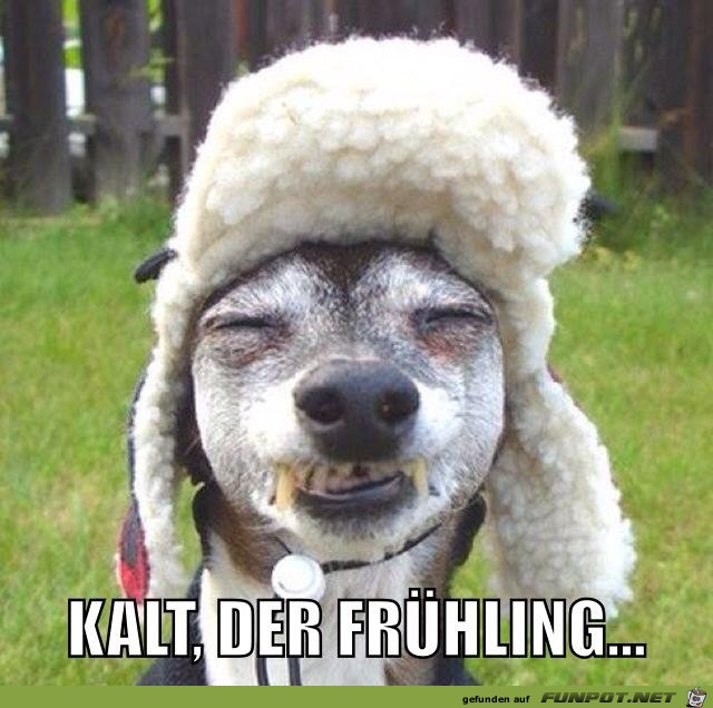Es ist kalt Es ist kalt