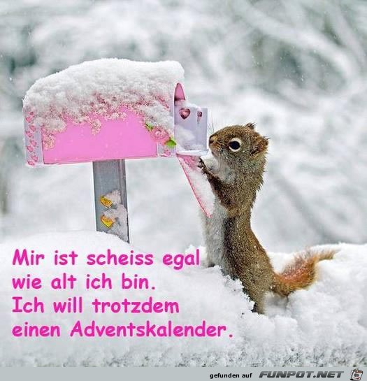 scheiss egal wie alt ich bin scheiss egal wie alt ich bin