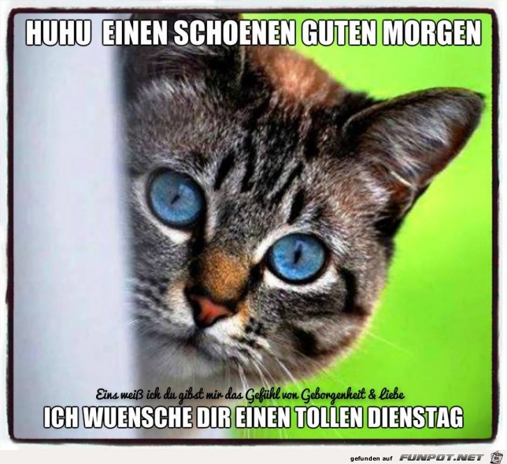 Einen tollen Dienstag Einen tollen Dienstag