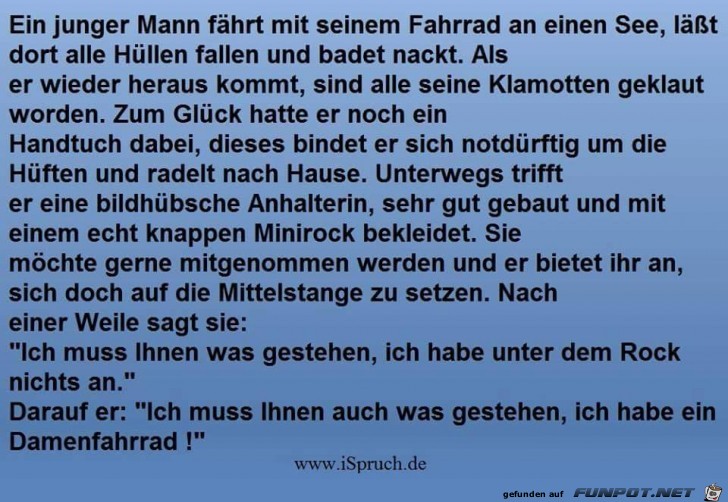 Damenfahrrad Damenfahrrad