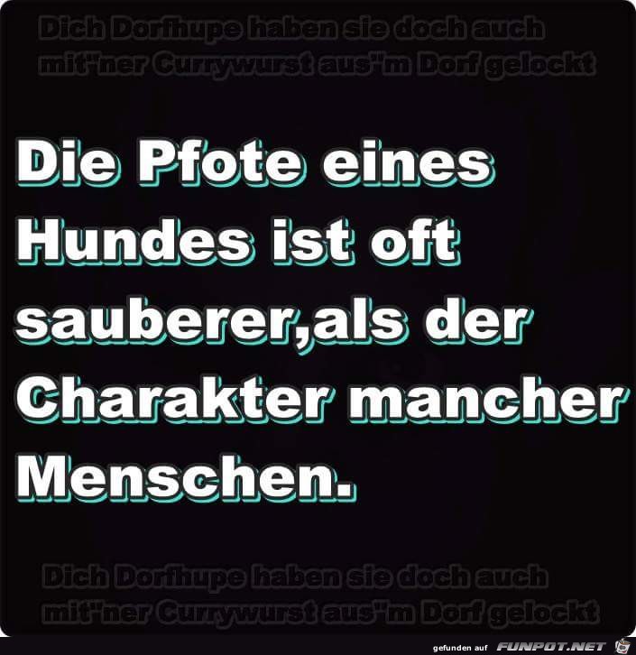 Pfote eines Hundes