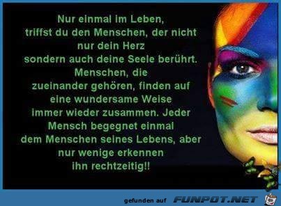 Nur einmal im Leben Nur einmal im Leben