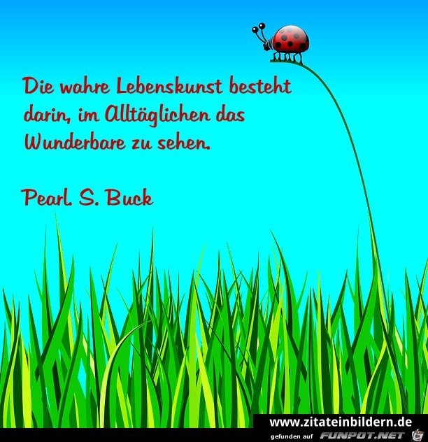 Die wunderbare Lebenskunst Die wunderbare Lebenskunst