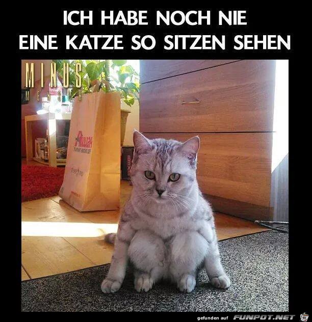 Hab noch nie Hab noch nie