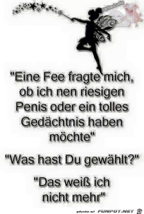 Fee fragt mich Fee fragt mich