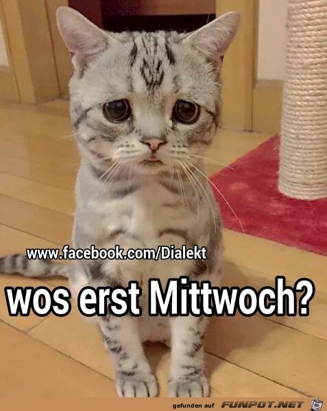 Erst Mittwoch Erst Mittwoch